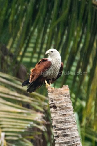 img-20190728-wa00415695721812415986275