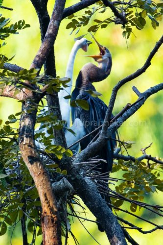 img-20190728-wa00424227863428761427719