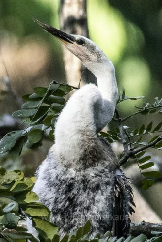 img-20190728-wa00461484340611119038782