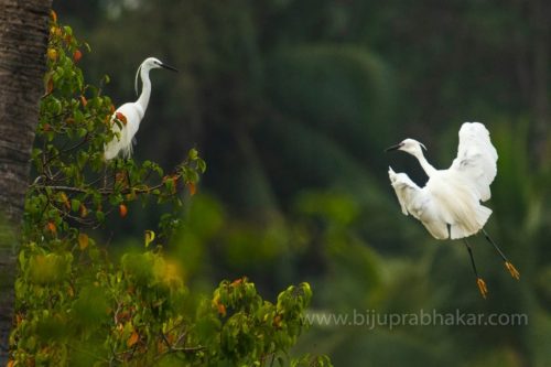 img-20190728-wa00813163997417881439714-1024x682