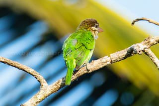 img-20191222-wa00097961189456079489651