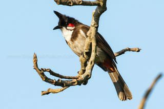 img-20191222-wa0010-14523763961065645596