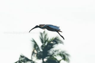 img-20191222-wa00117136824588073772350