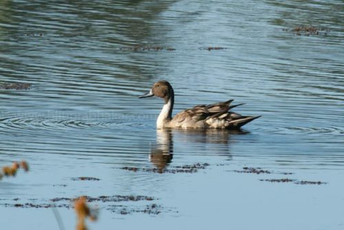 img-20191222-wa00144833327491050986820