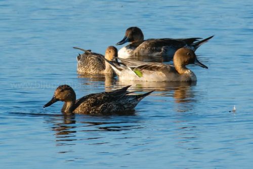 img-20191222-wa00162567701066340429463