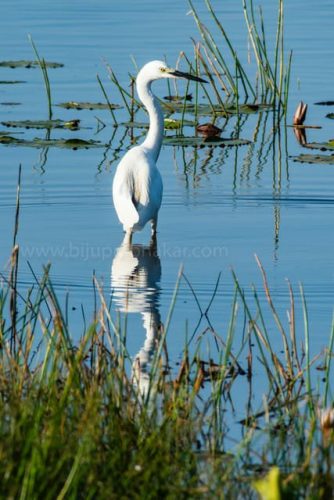 img-20191222-wa001730310555813286195 (1)