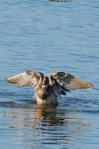 img-20191222-wa00192631980476436823199