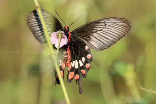 img-20191222-wa00206407065443134540830