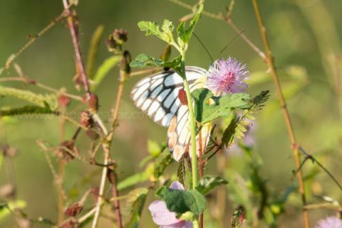 img-20191222-wa00212647804025836671348