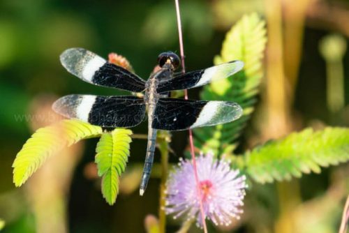 img-20191222-wa00224466639513028368058