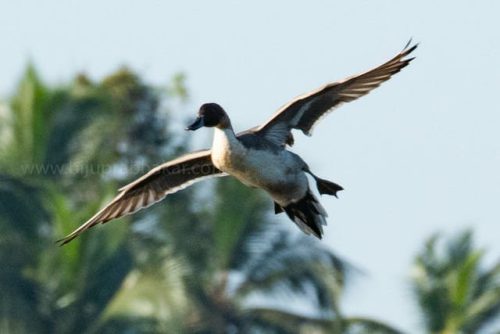 img-20191222-wa00233330644819454790046