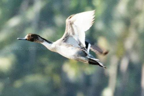 img-20191222-wa00247435365195936647715