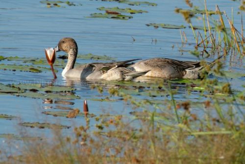 img-20191222-wa00257214746985644136420