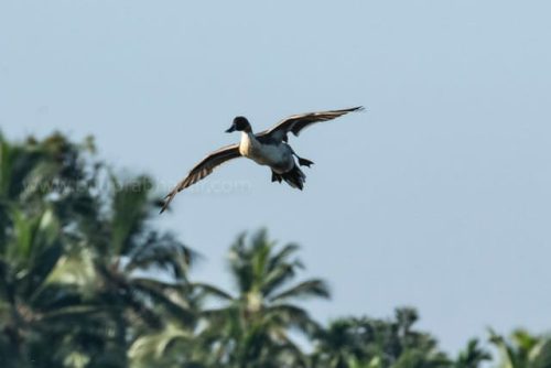 img-20191222-wa00263360272949168511513