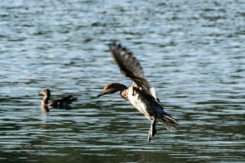 img-20191222-wa00271231491312860495241