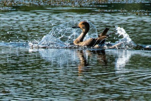 img-20191222-wa00292401027547424881283