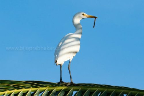 img-20191222-wa00308897680236189145918