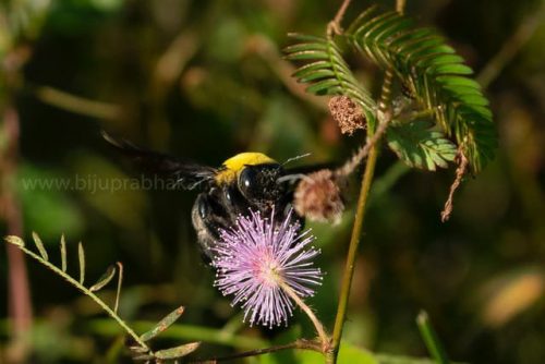 img-20191222-wa00315329824362004096526