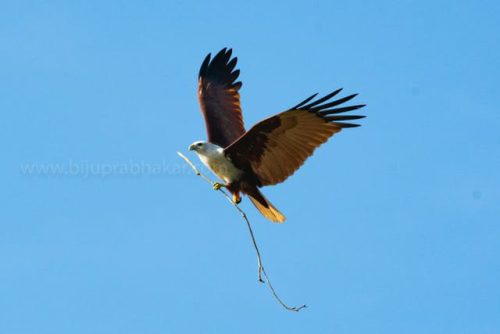 img-20191222-wa0033578509324555499359