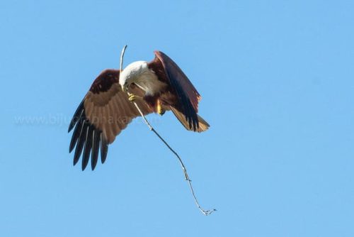 img-20191222-wa0034516186050223310024