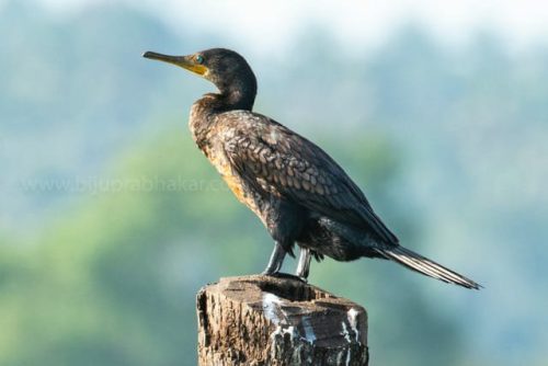 img-20191222-wa00363127639493171757966