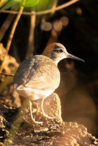 img-20191222-wa00377382434238569945437