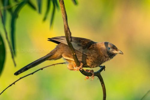 img-20191222-wa00401729964052824463215