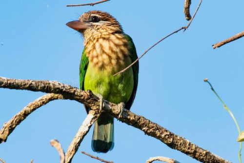 img-20191222-wa00411343160664265740266