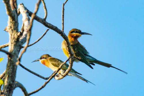 img-20191222-wa00424567382961065964002