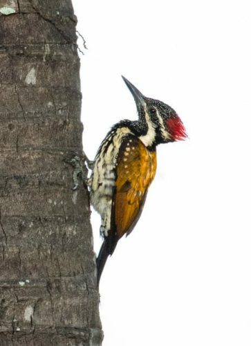 img-20191222-wa00442560733926548441250