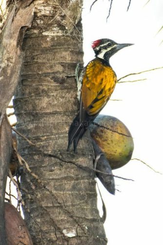 img-20191222-wa00486433516751276053516