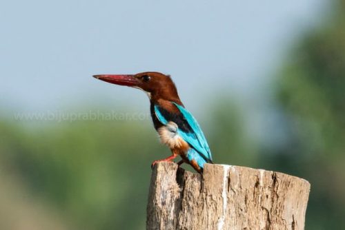 img-20191222-wa00551433491895411926044