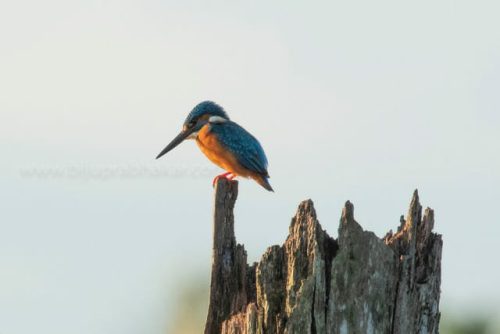 img-20191222-wa00568780058117692414443