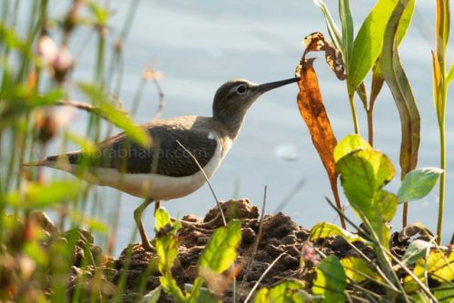 img-20191222-wa00574350417991329054215