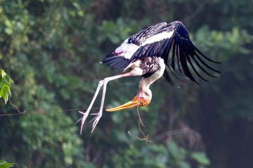 img-20240412-wa011026551242802873548866-1024x682