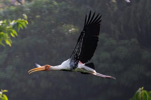 img-20240412-wa011115979185617591379080-1024x683