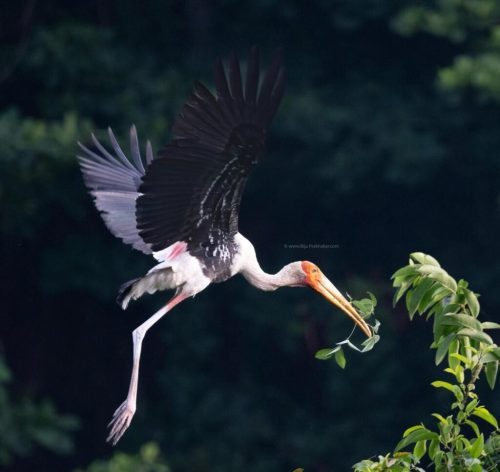 img-20240412-wa011215895059534135396202-1024x966