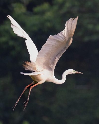 img-20240412-wa01131857530124103110304