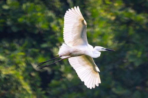 img-20240412-wa011413572801816589078384-1024x682