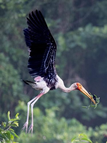 img-20240412-wa011513785091479763643853