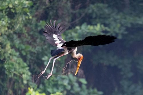 img-20240415-wa00017893131836999886636-1024x682