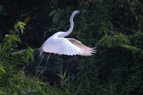 img-20240415-wa00025521104051189743070-1024x682